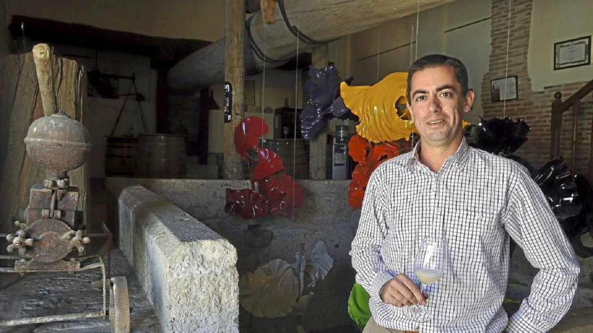 El presidente de la DO Rueda, Pablo Villar, en una imagen de archivo-I. M.
