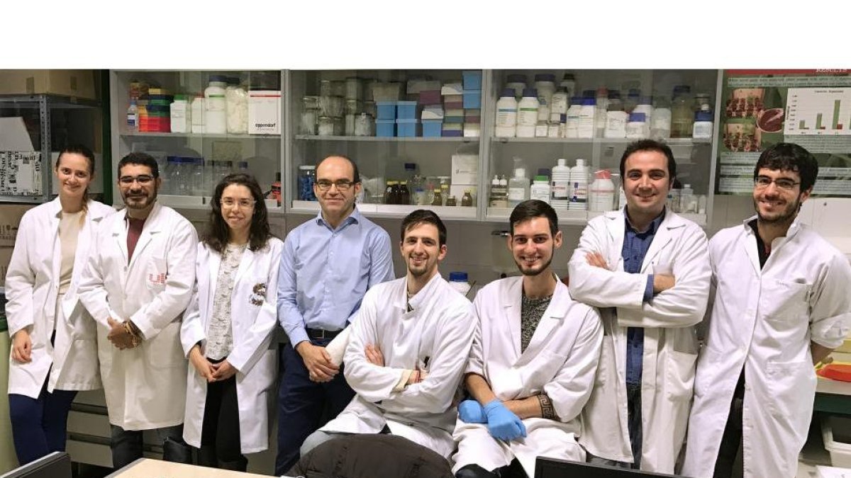 Alejandra Porteous, Paulo da Silva, Sara Mayo, Pedro Casquero, Guzmán Carro, Víctor Suárez, Álvaro Rodríguez y Samuel González en las instalaciones de la Escuela Superior y Técnica de Ingeniería Agraria de la ULE.-EL MUNDO