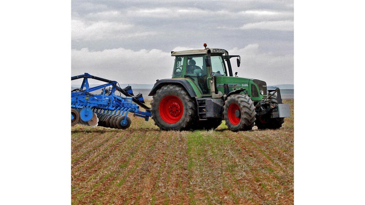 Agricultor ecológico en la provincia de Soria.-LUIS ÁNGEL TEJEDOR