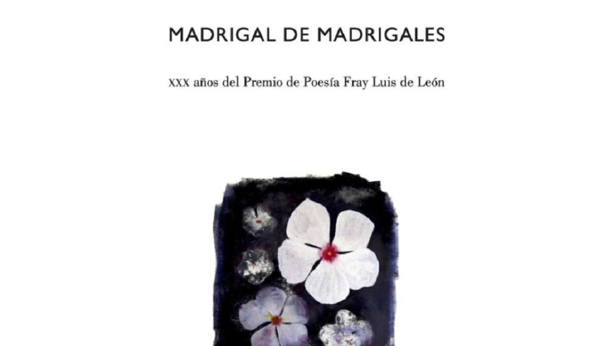 Detalle de la portada. | ED. DIFÁCIL