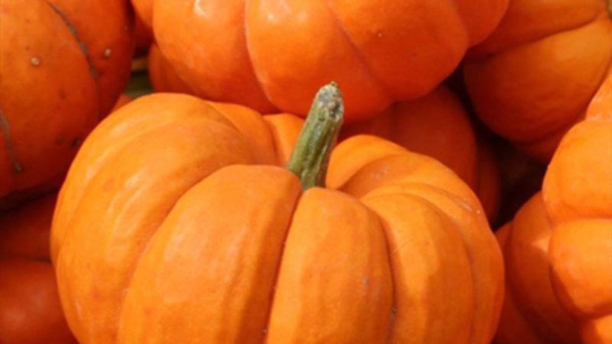 Calabazas.-EL PERIÓDICO