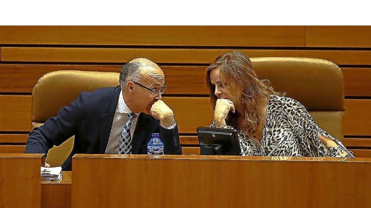 Ramiro Ruiz Medrano, junto a Silvia Clemente en el pleno de las Cortes.-ICAL