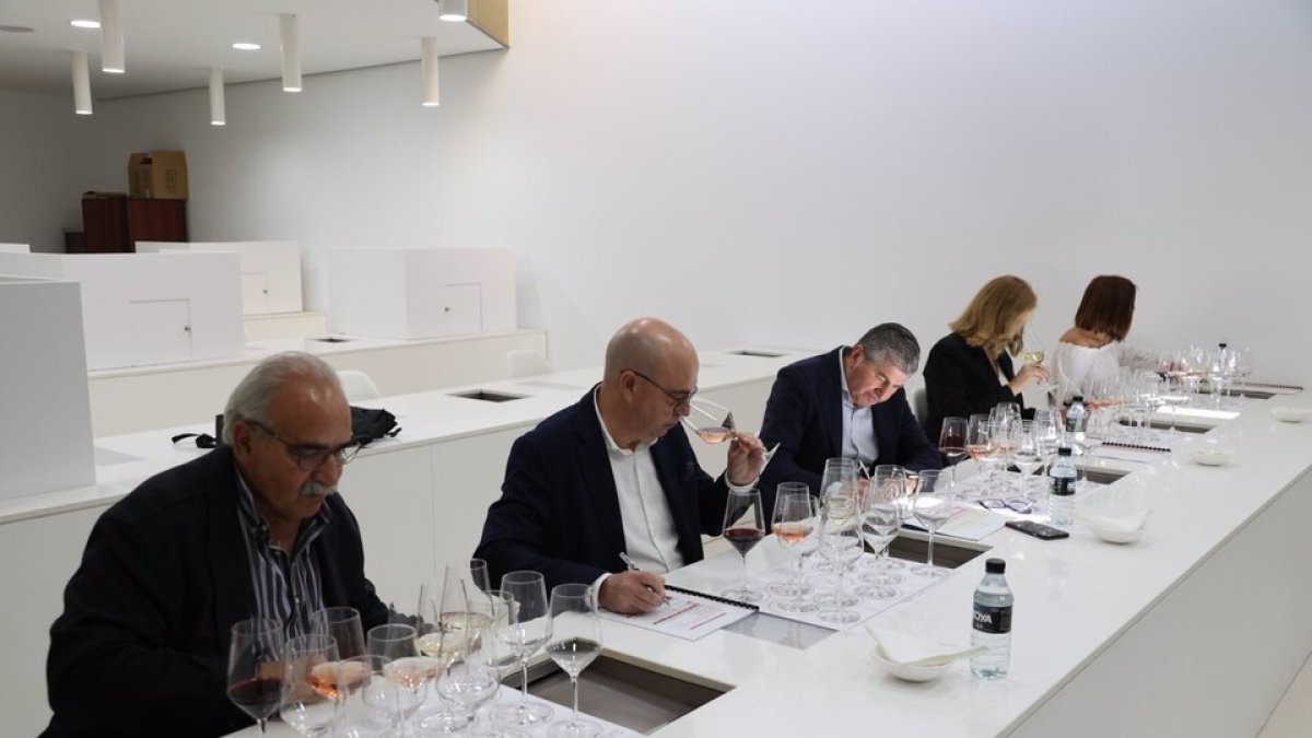Un momento de la cata de los vinos de Ribera. / EP