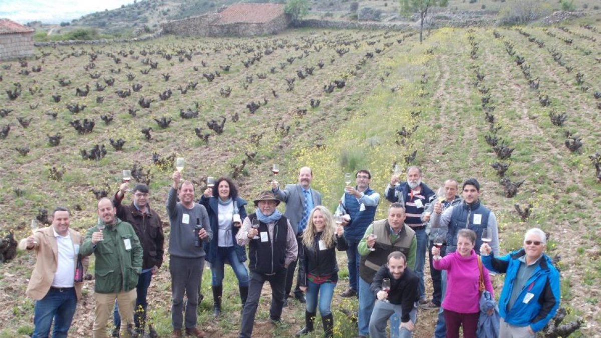 Bodegueros, viticultores y otros integrantes de la Asociación de Vinos de Cebreros, impulsora de esta figura de calidad-Antonio García