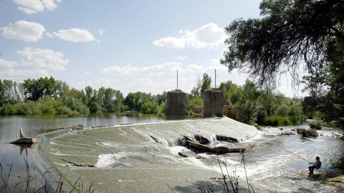 La Pesqueruela, zona donde el Pisuerga desemboca en el Duero. / ICAL