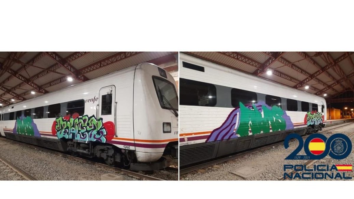 Imagen de los trenes pintados con grafitti en Medina del Campo. E.M.