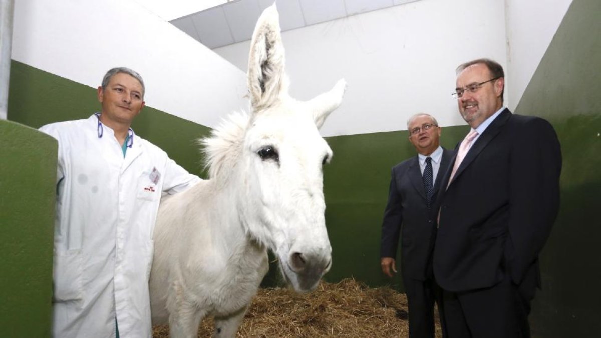 El consejero de Educación de la Junta, Fernando Rey, visita las instalaciones del Hospital Veterinario de León-Ical