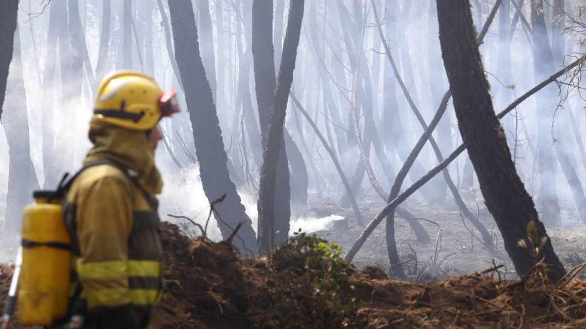 Un agente del Brif trabaja en las labores de extinción.-ICAL