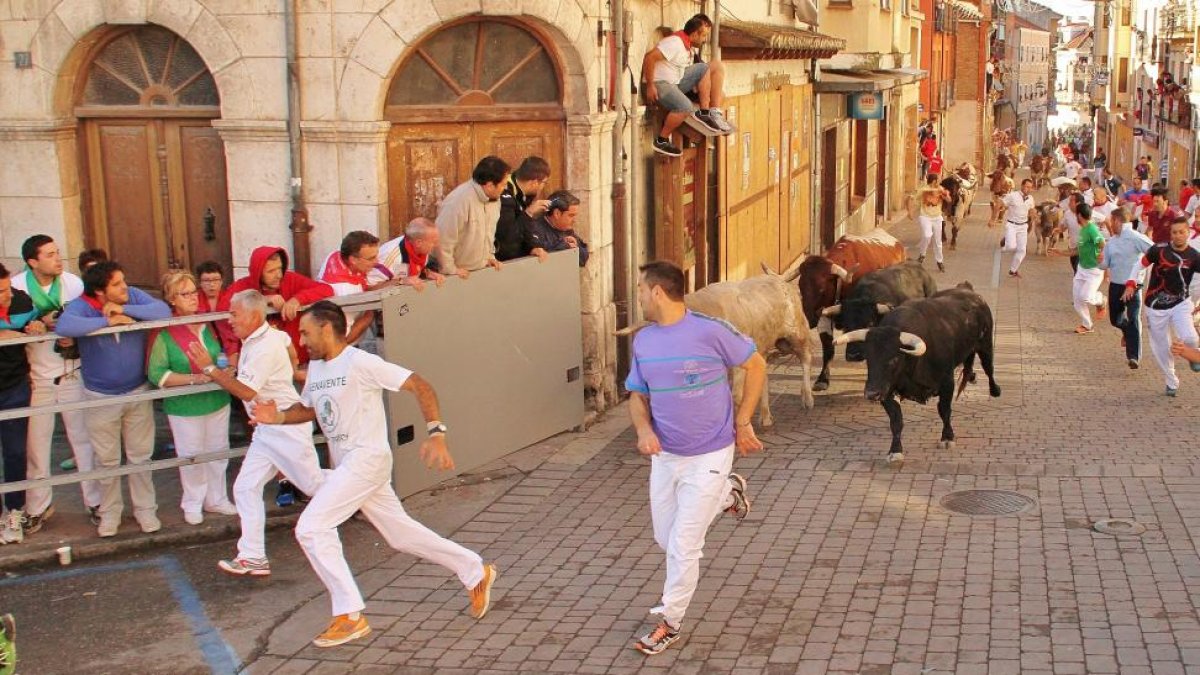 Tercer encierro de las fiestas de Cuéllar.-ICAL