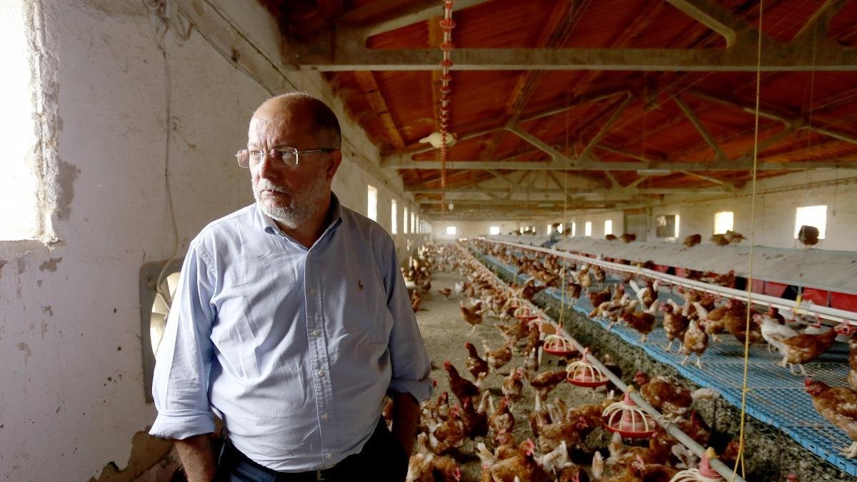 Francisco Igea, en la granja de pollos que visitó esta mañana en Villalpando.-ICAL