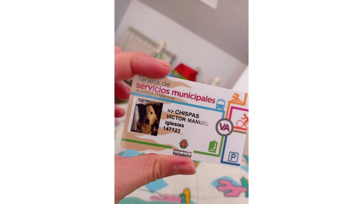 Bonobús de 'Chispas'. -E.M.