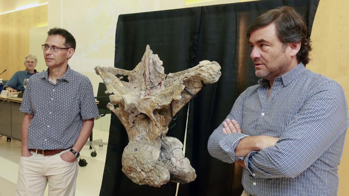 Fidel Torcida y José Ignacio Canudo posan junto a una vértebra dorsal del gran dinosaurio, ante la mirada del director científico del MEH, Juan Luis Arsuaga, al fondo.-R.O.