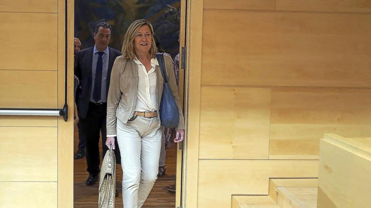 La consejera de Economía y Hacienda, Pilar del Olmo, a su llegada a la comparecencia.-ICAL