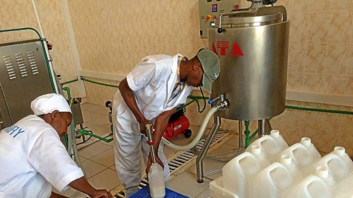 Dos trabajadores de la quesería Burera Dairy se encargan de embotellar la leche fermentada.-E. M.
