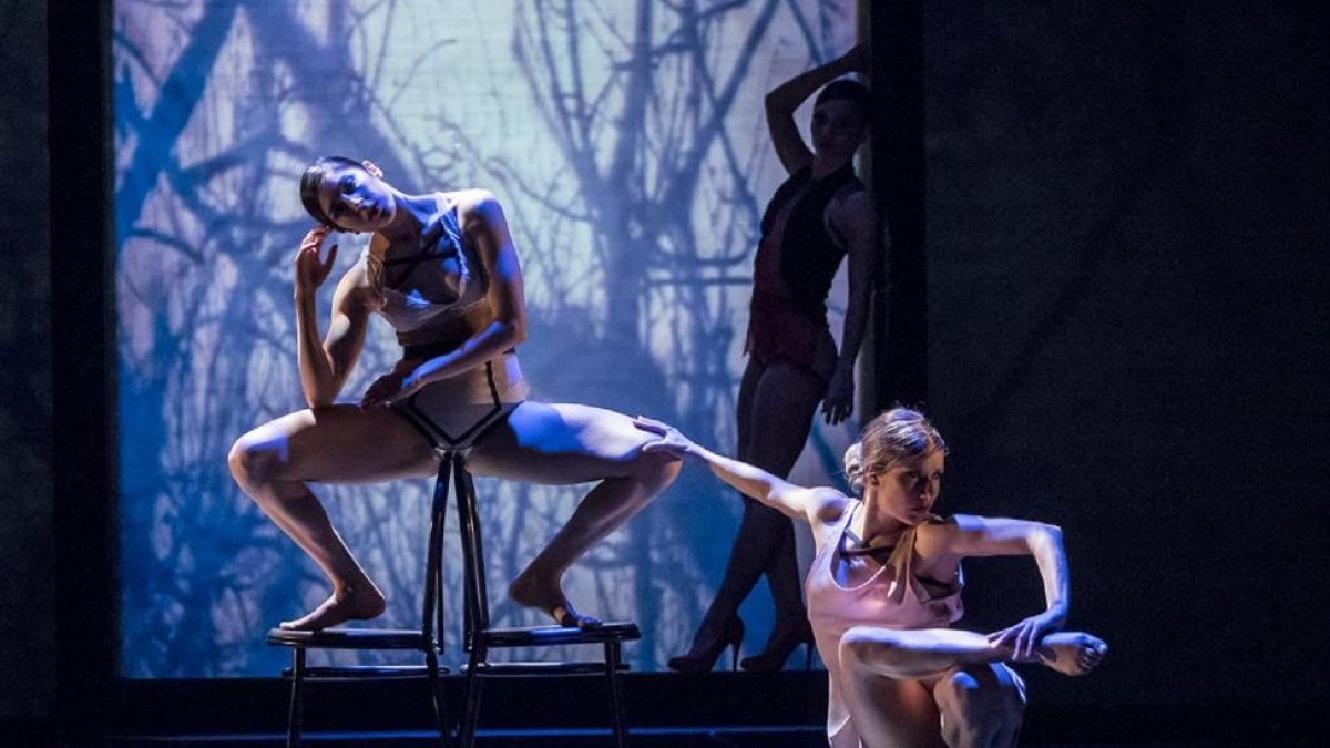 El Ballet Contemporáneo de Burgos.-GERARDO SANZ