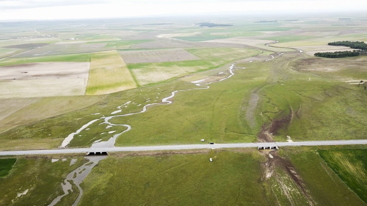 La CHD adjudica por 1,7 millones las obras de restauración del río Zapardiel entre Mamblas (Ávila) y Tordesillas (Valladolid). - ICAL