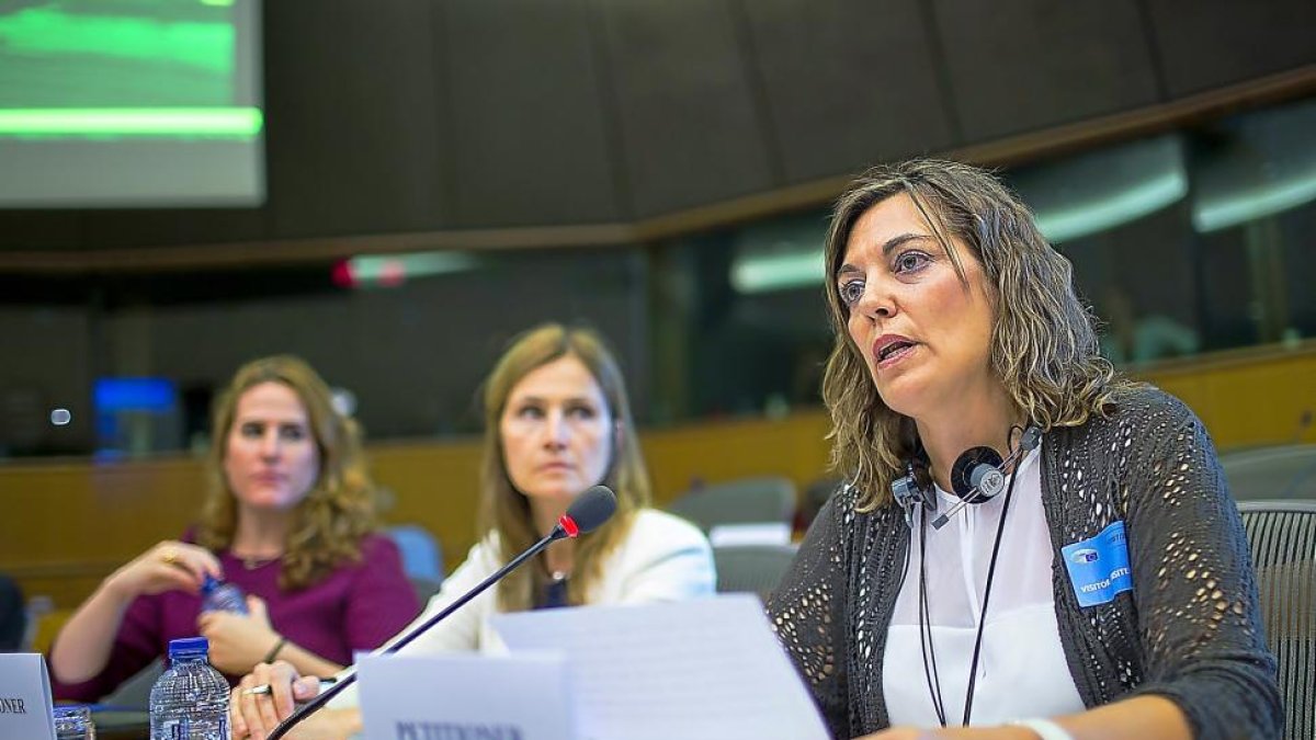 Milagros Marcos interviene en la Comisión de Peticiones del Parlamento Europeo.-ICAL