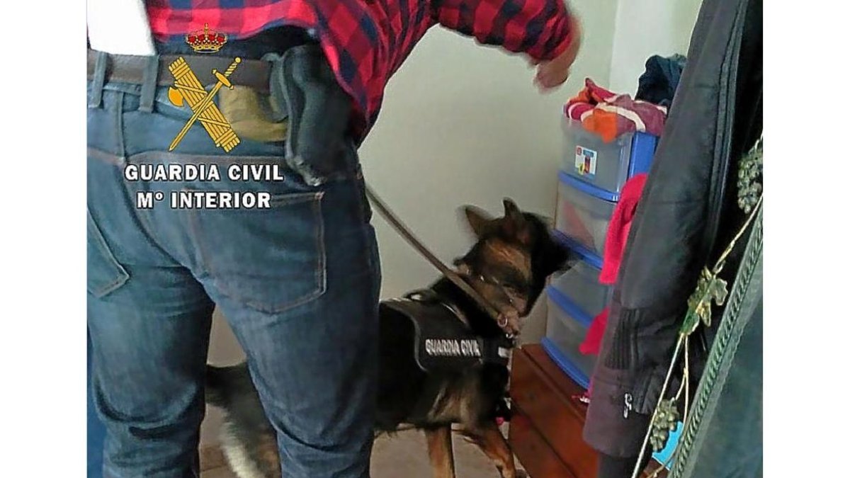 Un momento de la intervención de la Guardia Civil.-FOTO CEDIDA POR LA GUARDIA CIVIL