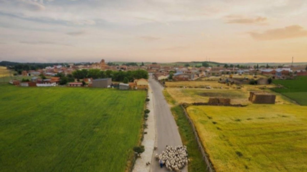 La Cañada Real Burgalesa a su paso por Fresno el Viejo. -E. PRESS