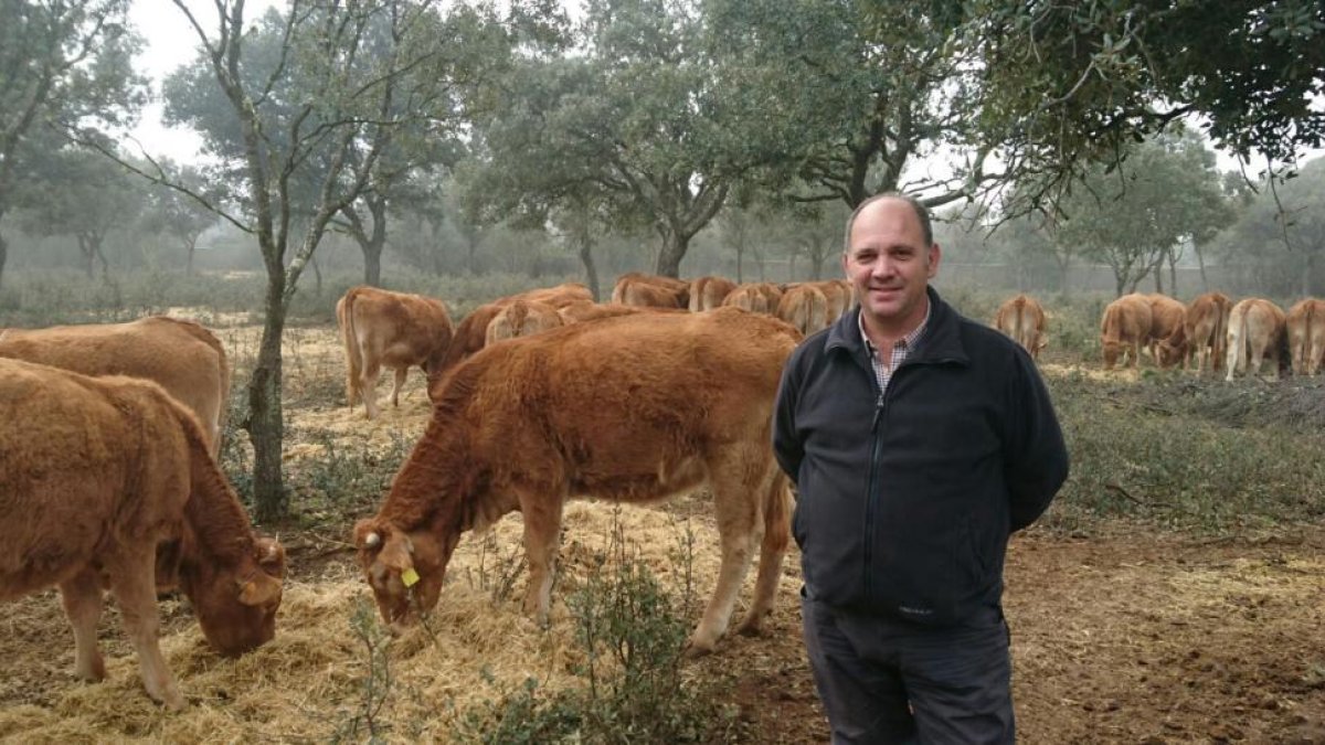 Gonzalo Jiménez con sus animales de alto valor genético en la explotación de Villalba de los Alcores (Valladolid).-E.M.