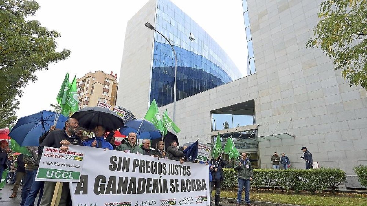 Manifestación de ganaderos de ovino de leche, el pasado 30 de octubre en Valladolid.-ICAL