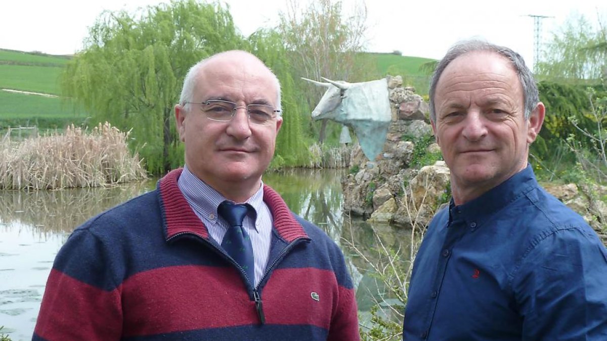 Jesús y Javier García Álvarez posan en la finca donde pastan sus bueyes.-T.S.T