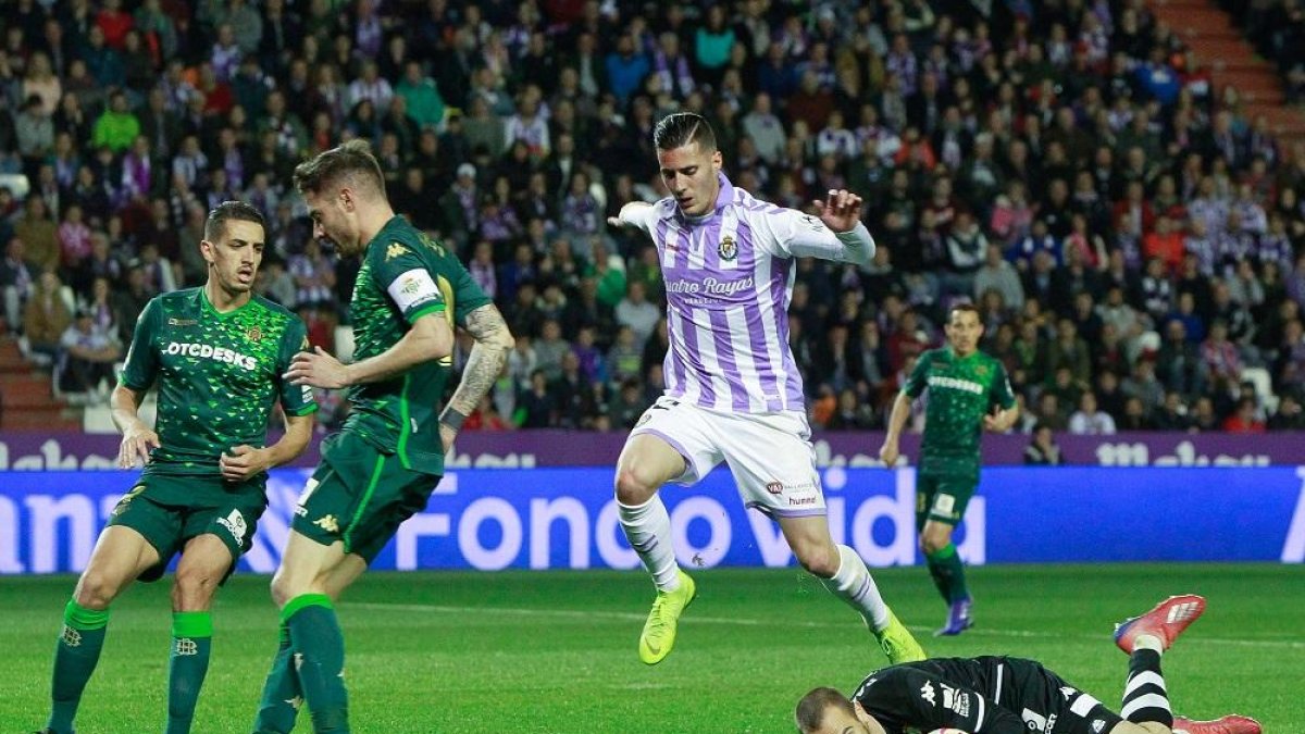 Paul López se ataja desde el suelo el balón por el que peleaba el delantero blanquivioleta SergiGuardiola.-J. M. LOSTAU