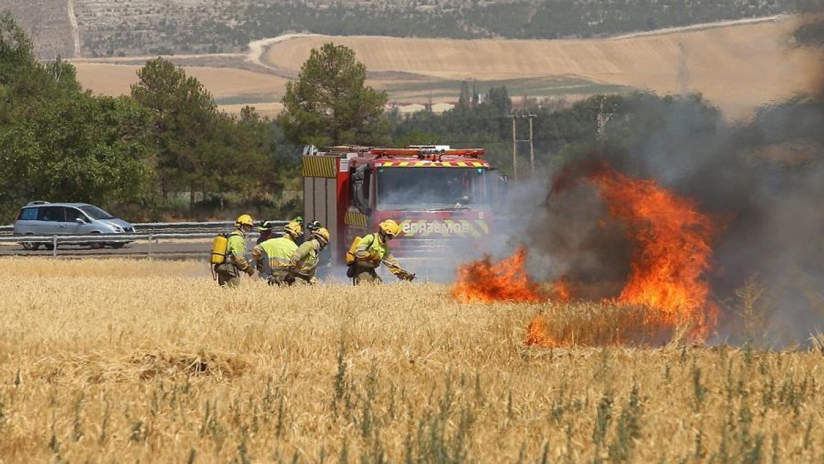 Incendio agrícola en unas parcelas entre las provincias de Palencia y Valladolid.
