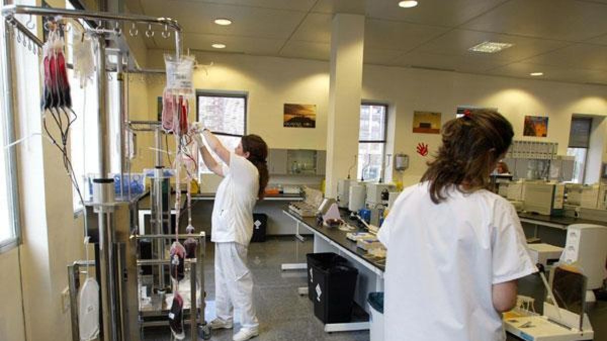 Laboratorio del Centro de Hemoterapia y Hemodonación de Castilla y León.-MIRIAM CHACÓN ICAL
