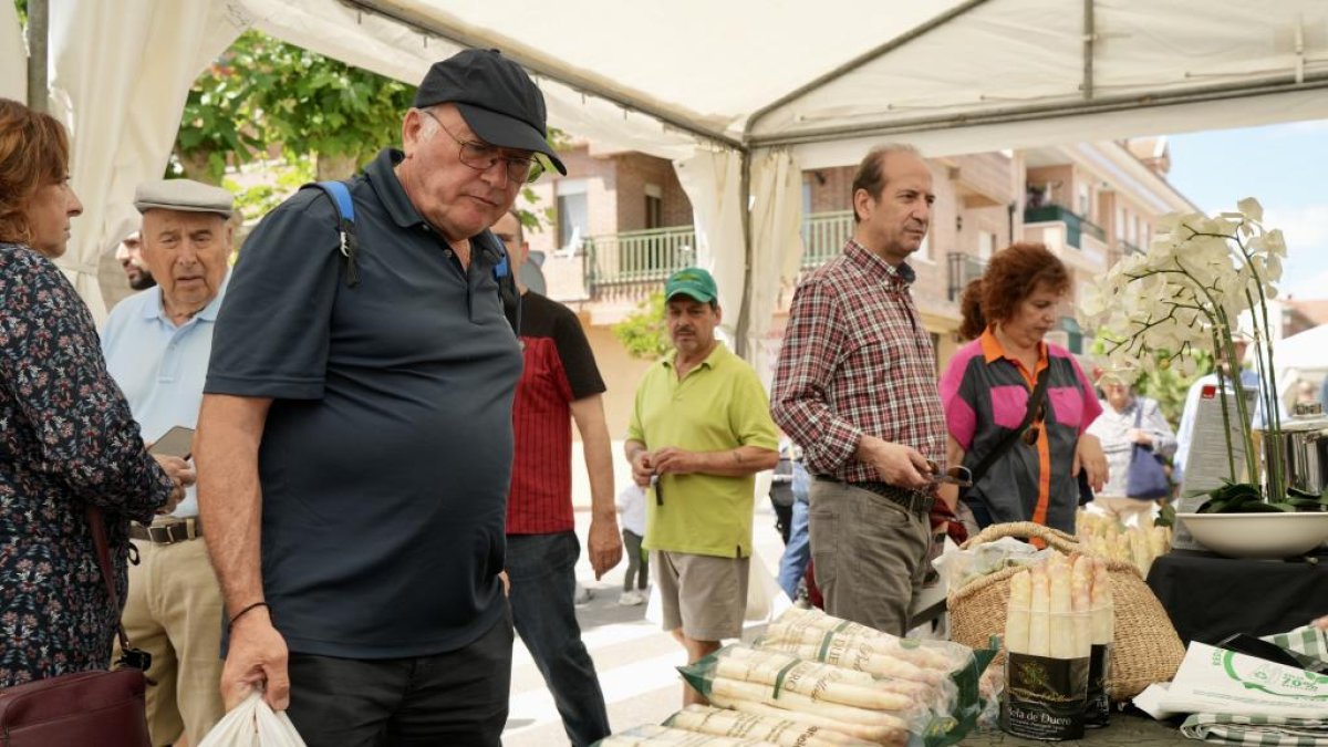 TUDELA DE DUERO 03-06-2023 PHOTOGENIC Imágenes de la Feria del Espárrago celebrado en Tudela de Duero (Valladolid).