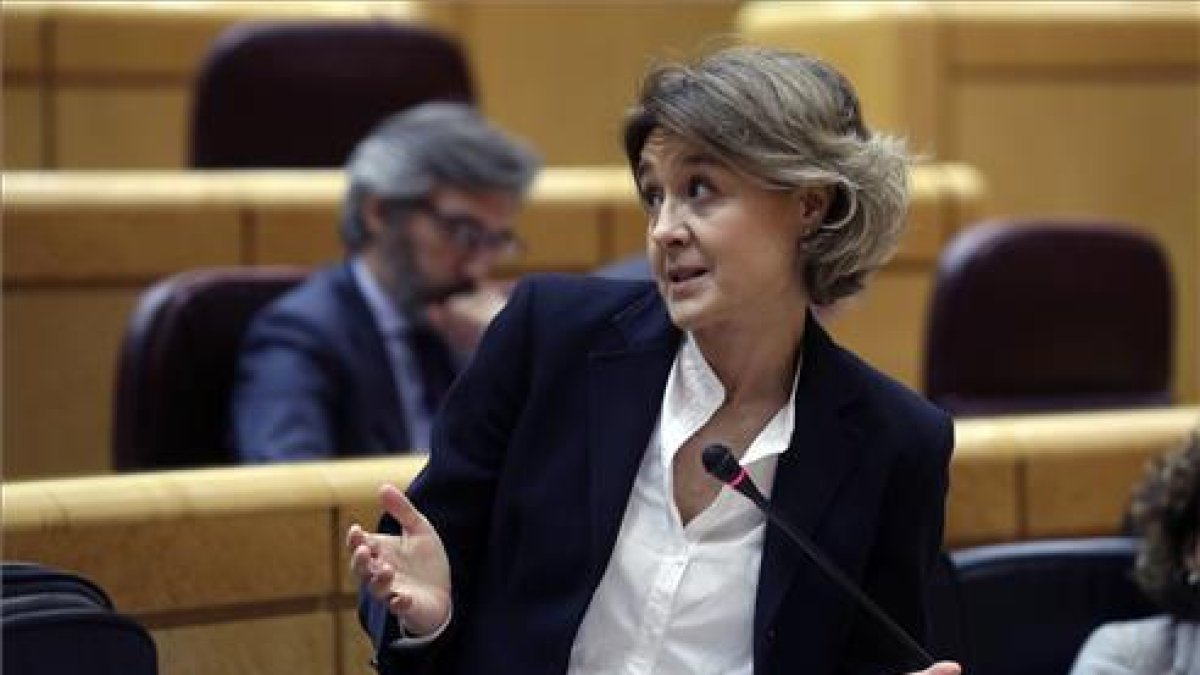 Tejerina, dándo explicaciones en el Senado-KIKO HUESCA
