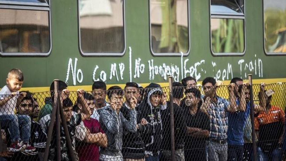 Grupos de refugiados piden continuar su viaje, junto a una valla frente al tren detenido, este viernes en Bcske.-EFE / BALAZS MOHAI