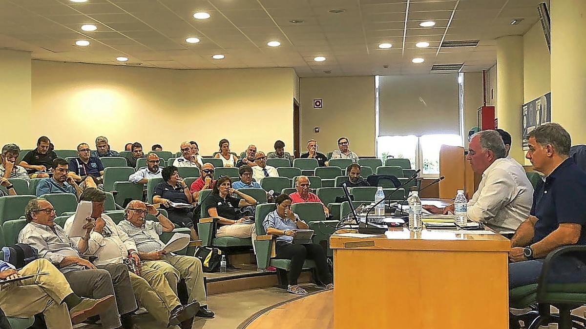 Feijoo, en el centro de la mesa presidencial, durante la Asamblea celebrada ayer.-TWITTER FEDERACIÓN ESPAÑOLA DE RUGBY