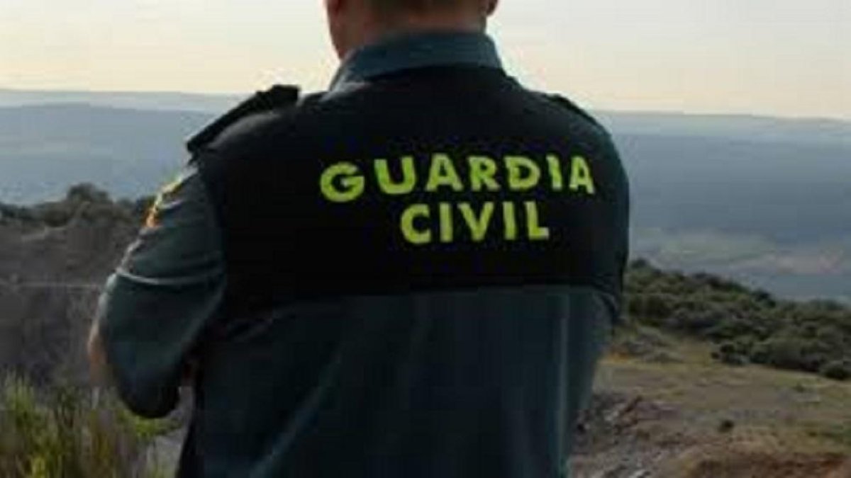 -Europa Press