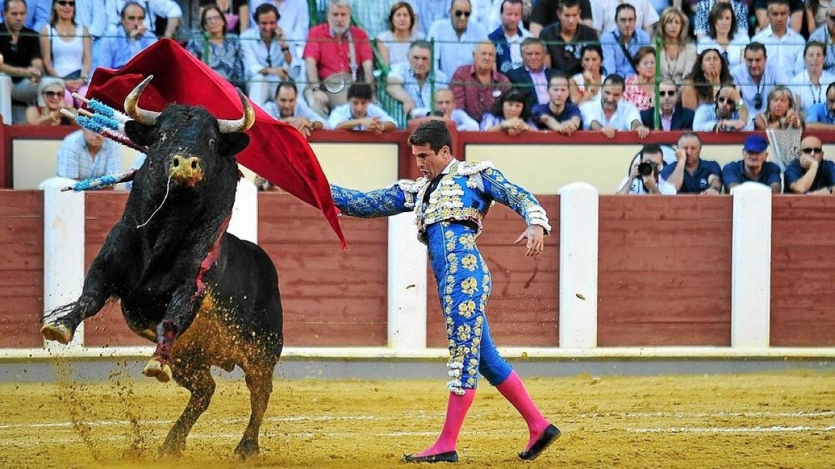 Momento de la faena de Manzanares en la plaza de Valladolid.-JOSÉ SALVADOR