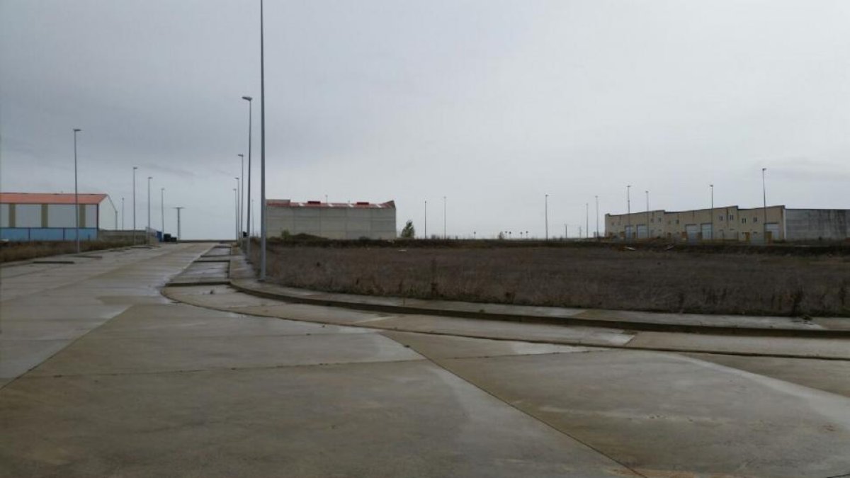 Parcelas vacías en el polígono de Mayorga de Campos.-EL MUNDO