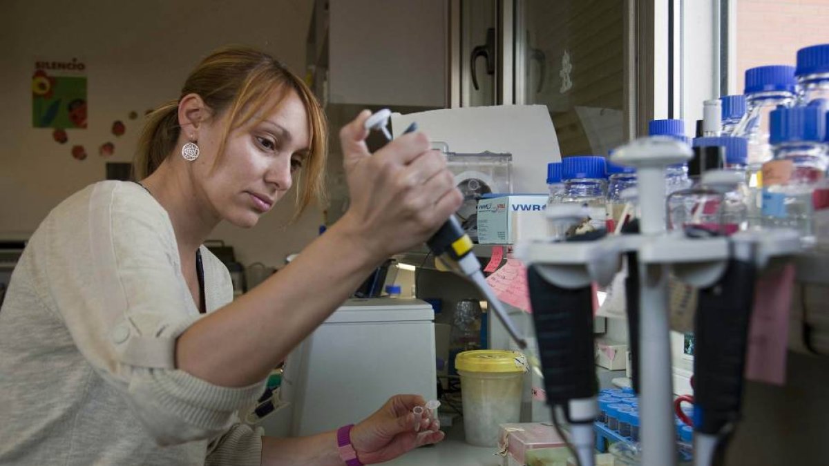 Laboratorio del Centro de Investigación del Cáncer de Salamanca-Ical