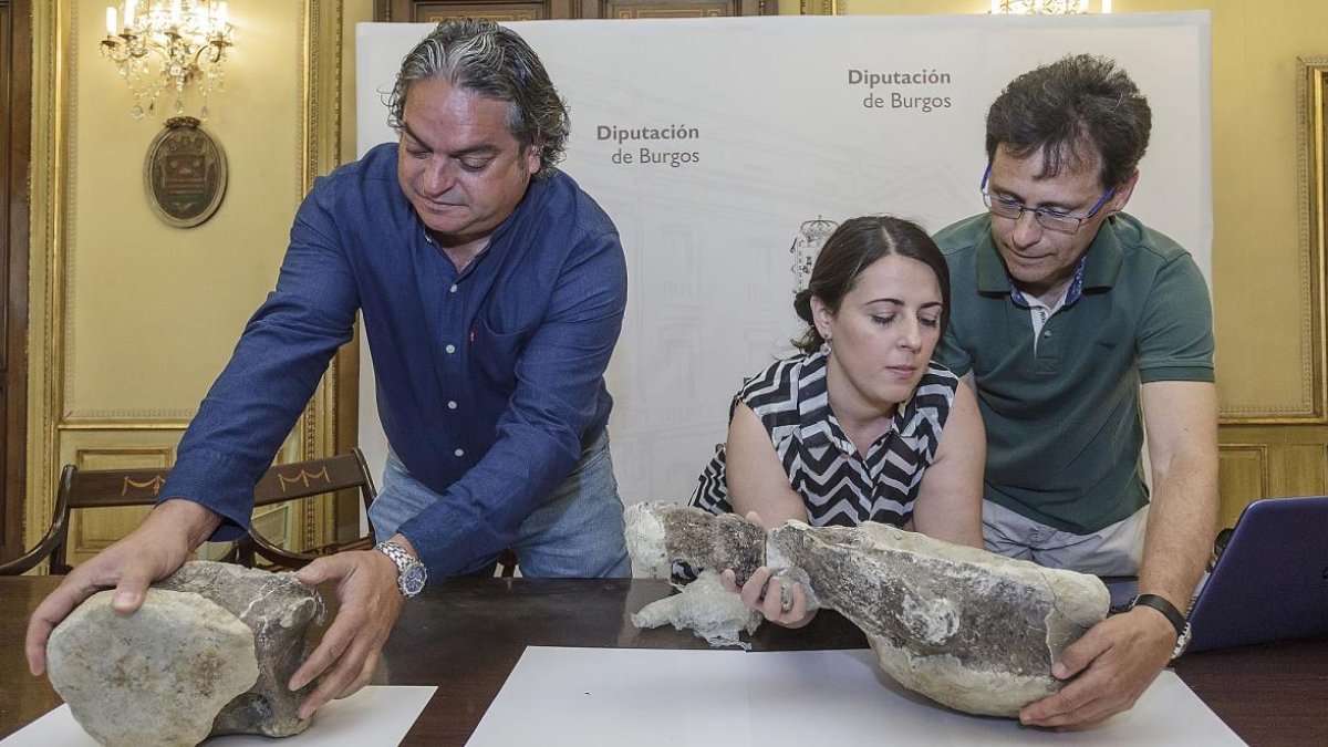 Roberto Ortega, Caterine Arias y Fidel Torcida con restos fósiles de dinosaurio.-SANTI OTERO