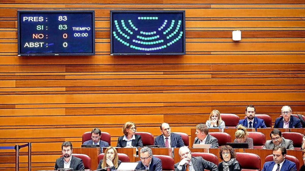 El Pleno aprobó cuatro proposiciones no de ley por unanimidad.-ICAL