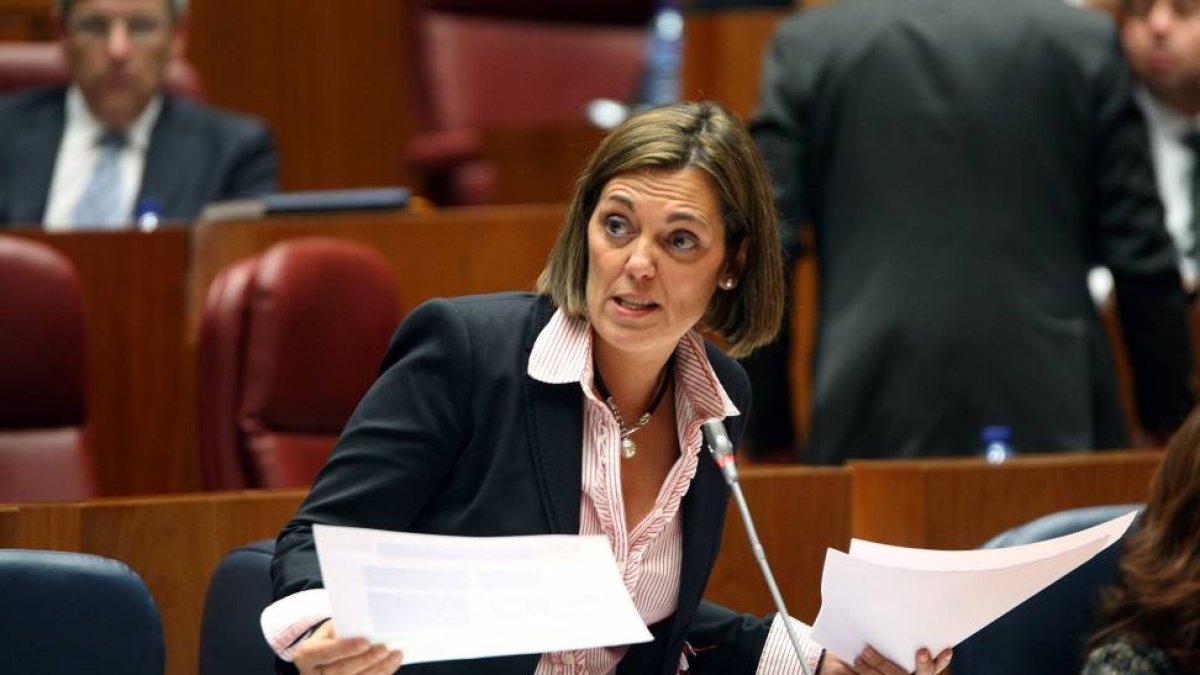 La consejera de Familia, Milagros Marcos, durante su intervención en el Pleno de las Cortes de Castilla y León-Ical