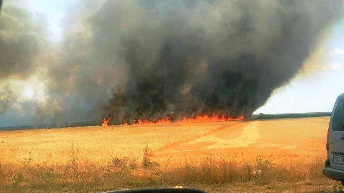 Imagen del fuego en el cultivo de cereal de Campaspero.-E. M.