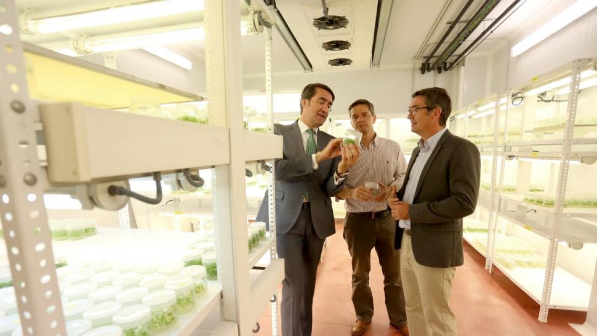 El consejero de Fomento y Medio Ambiente, Juan Carlos Suárez-Quiñones, visita el Vivero Central Forestal.-ICAL