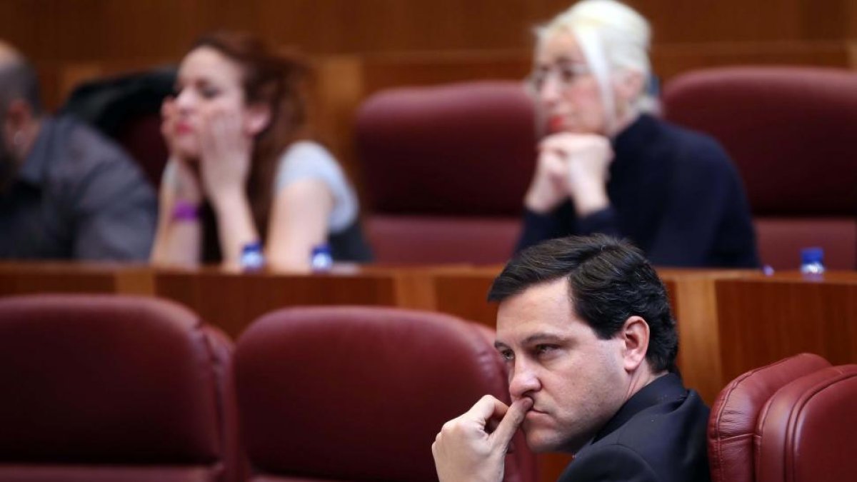 El procurador popular Raúl de la Hoz durante el Pleno de las Cortes.-ICAL