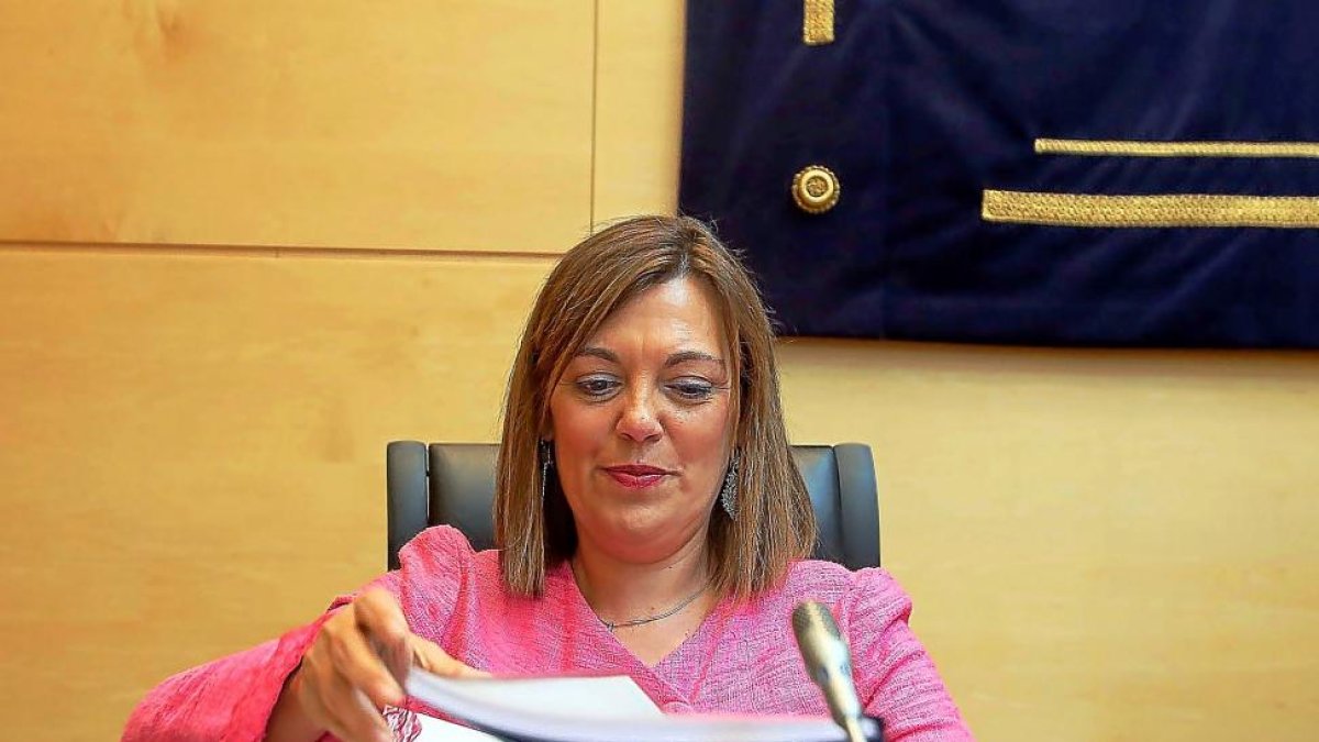 La consejera de Agricultura, Milagros Marcos, comparece en la Comisión de Economía y Hacienda-ICAL