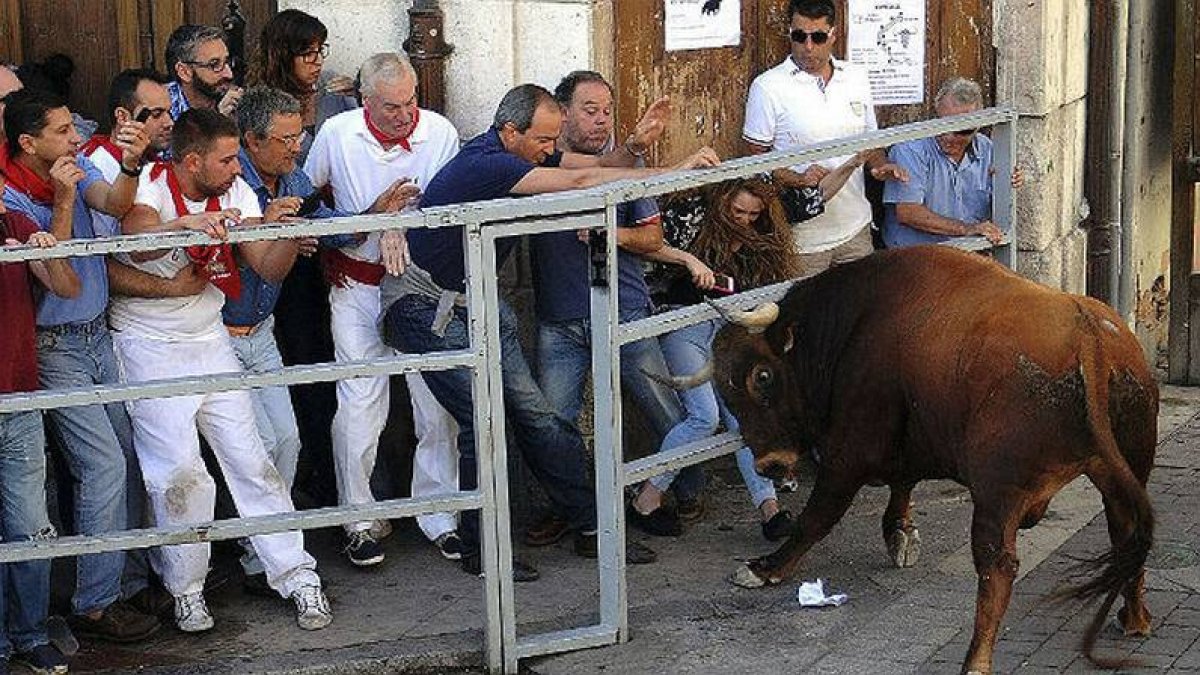 Un hombre de 60 años muere corneado en un encierro en Cuéllar (Segovia)-