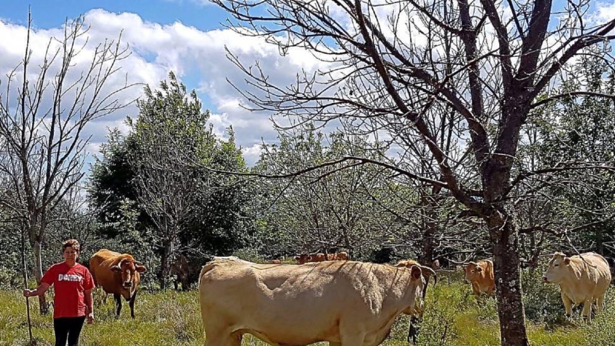Mari Carmen San Román con su ganado en su explotación de Doney de la Requejada (Zamora).-E.M.