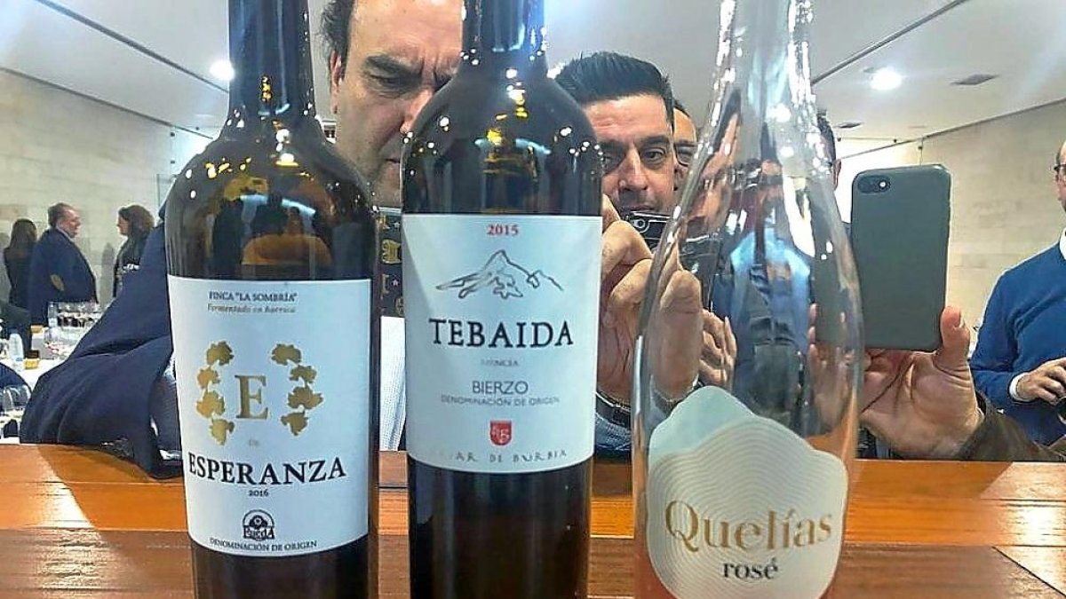 Participantes en el concurso ‘Vino del Museo’ fotografían con sus móviles los tres vinos galardonados.-EL MUNDO