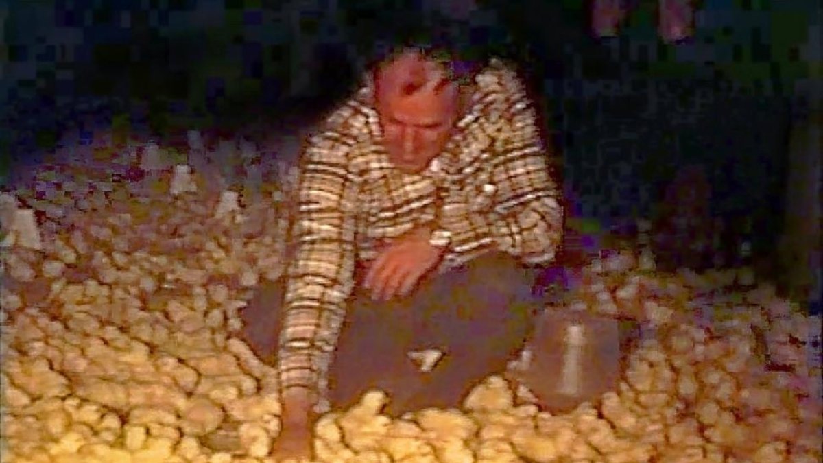 Uno de los fundadores de Oblanca con los pollitos en los inicios de la compañía.-E.M.
