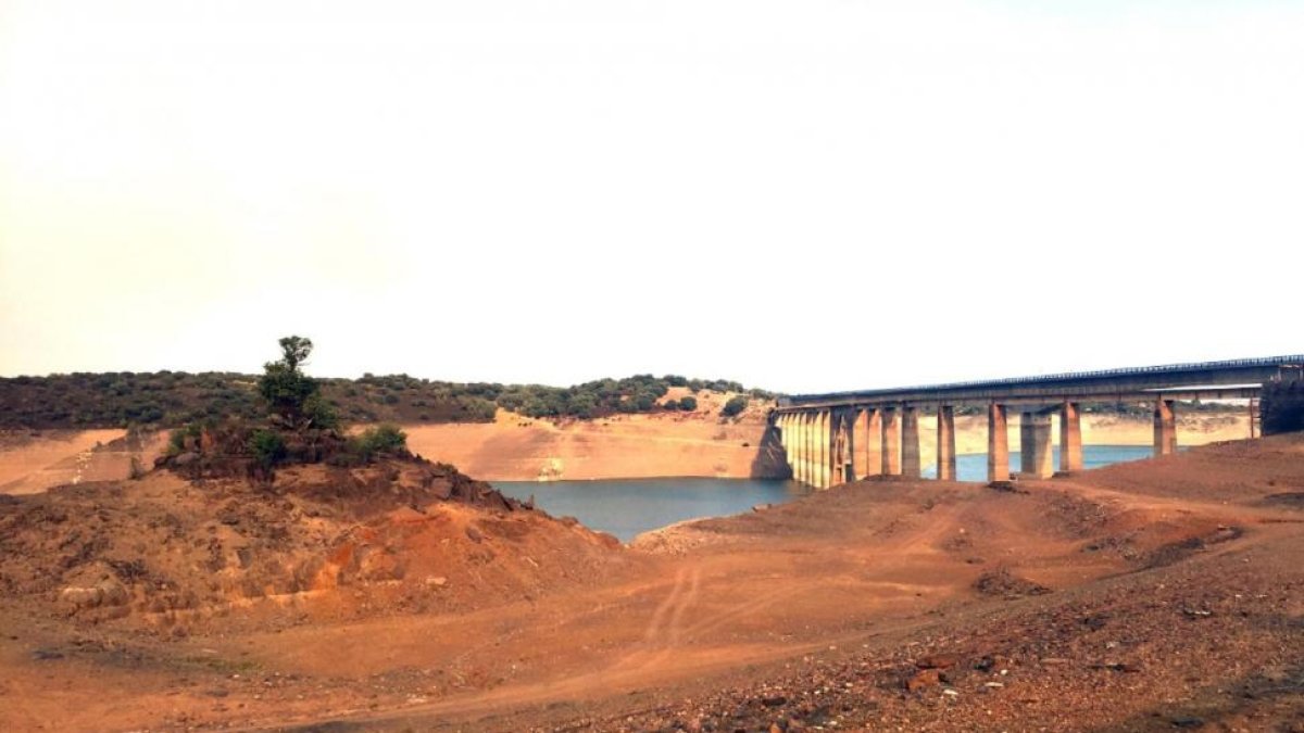 Estado que presenta actualmente el embalse del Esla.-JOSÉ LUIS CABRERO