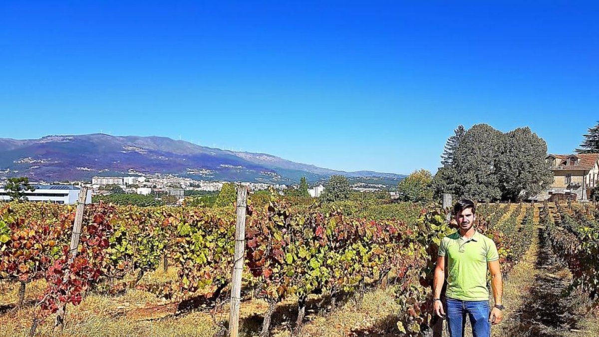 David Ayala rodedo de viñedos en Vila Real.-E.M.